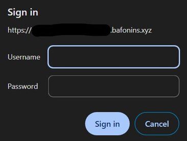 Basic Authentication example screen to bafonins.xyz sub-domains